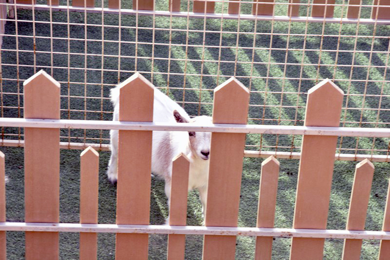 Image00051.jpg