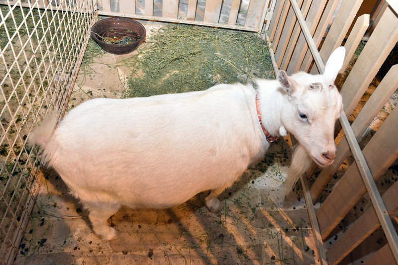 Image00208.jpg