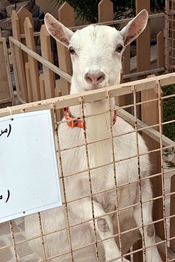 Image00022.jpg