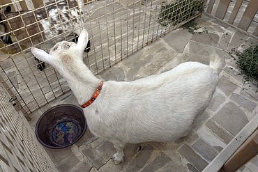 Image00036.jpg