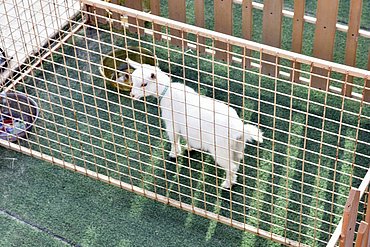 Image00050.jpg