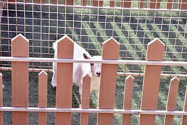 Image00051.jpg