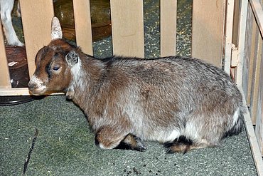 Image00611.jpg