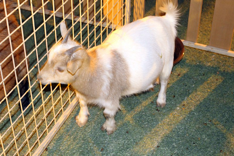 Image00047.jpg