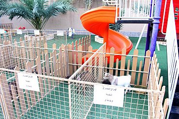 Image00012.jpg