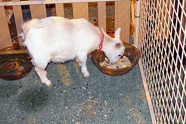 Image00055.jpg