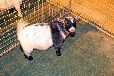 Image00057.jpg