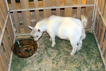 Image00061.jpg