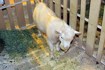 Image00064.jpg