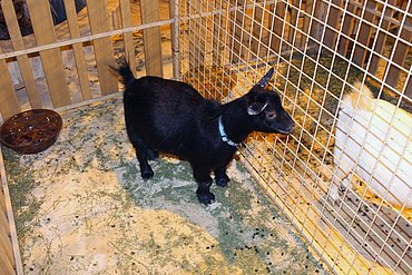 Image00069.jpg