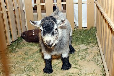 Image00133.jpg